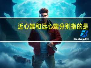 近心端和远心端分别指的是