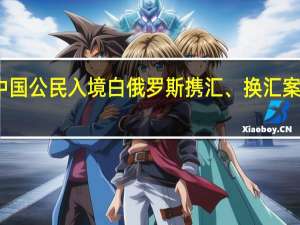 近期发生多起涉中国公民入境白俄罗斯携汇、换汇案件中使馆提醒严格守法