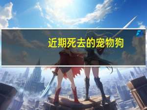 近期死去的宠物狗