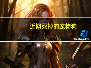 近期死掉的宠物狗