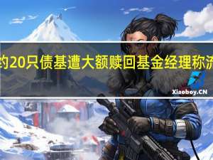 近1个月约20只债基遭大额赎回 基金经理称流动性风险可控