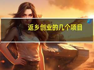返乡创业的几个项目