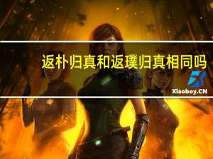 返朴归真和返璞归真相同吗