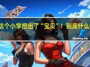 这个小学挖出了“宝贝”！ 到底什么情况嘞