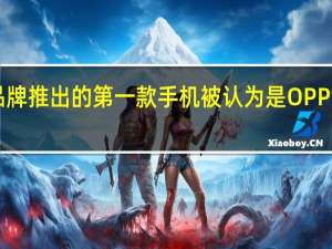 这个新品牌推出的第一款手机被认为是OPPOReno标准版
