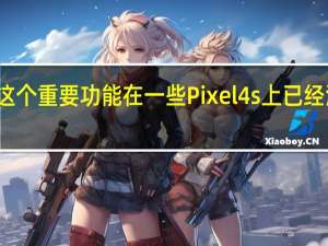 这个重要功能在一些Pixel 4s上已经消失了
