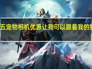 这个黑色星期五宠物相机优惠让我可以跟着我的猫在房子里转来转去