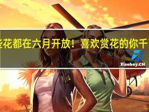 这些花都在六月开放！喜欢赏花的你千万别错过！