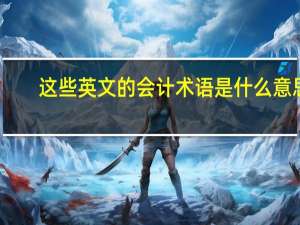 这些英文的会计术语是什么意思