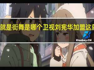 这就是街舞是哪个卫视 刘宪华加盟这就是街舞