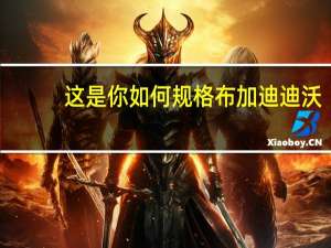 这是你如何规格布加迪迪沃