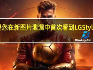 这是您在新图片泄漏中首次看到LG Stylo 6的外观