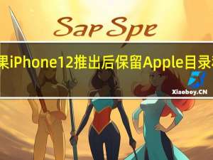 这是苹果iPhone12推出后保留Apple目录和价格的方式