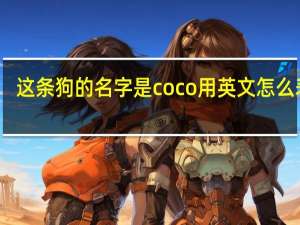 这条狗的名字是coco用英文怎么表达？