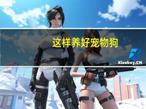 这样养好宠物狗