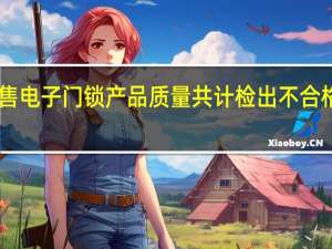 这次网售电子门锁产品质量共计检出不合格产品18批次