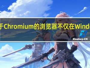 这款基于 Chromium 的浏览器不仅在 Windows 平台上架