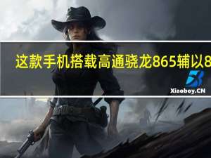 这款手机搭载高通骁龙865辅以8GB+128GB内存组合