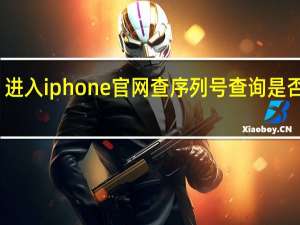 进入iphone官网查序列号查询是否激活（进入iphone官网查序列号）