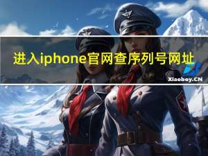 进入iphone官网查序列号网址（进入iphone官网查序列号）