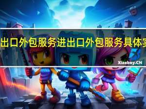 进出口外包服务进出口外包服务具体实施内容