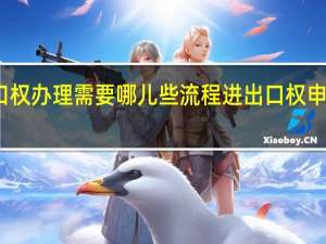 进出口权办理需要哪儿些流程 进出口权申请办理流程