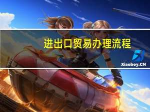 进出口贸易办理流程（办理进出口贸易手续）