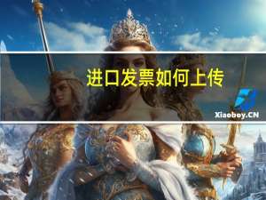 进口发票如何上传