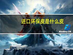 进口环保皮是什么皮