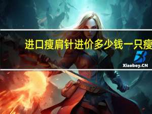 进口瘦肩针进价多少钱一只 瘦肩针什么牌子比较好