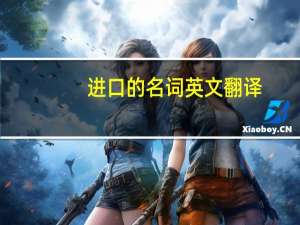 进口的名词英文翻译