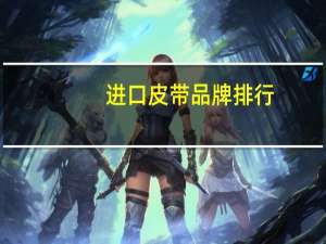 进口皮带品牌排行