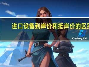 进口设备到岸价和抵岸价的区别