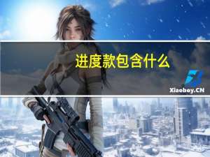 进度款包含什么