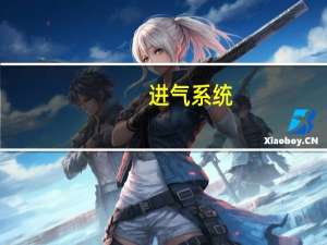 进气系统