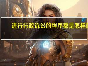 进行行政诉讼的程序都是怎样的