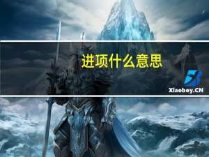 进项什么意思
