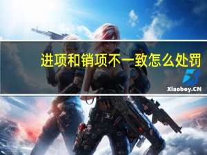 进项和销项不一致怎么处罚