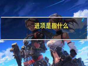 进项是指什么