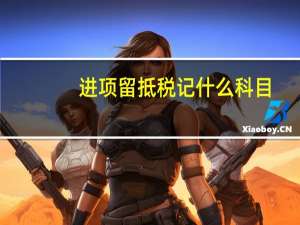 进项留抵税记什么科目