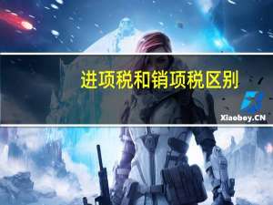 进项税和销项税区别