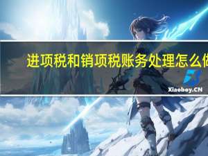 进项税和销项税账务处理怎么做