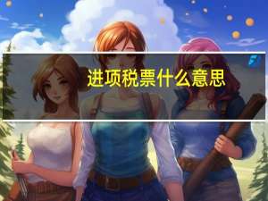 进项税票什么意思