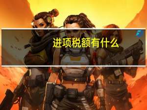 进项税额有什么