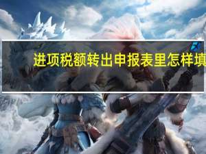 进项税额转出申报表里怎样填