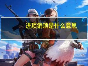 进项销项是什么意思