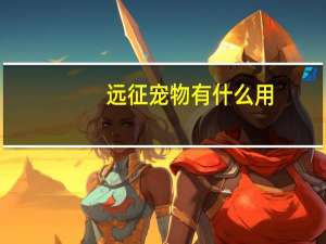 远征宠物有什么用