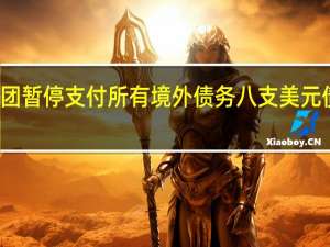 远洋集团暂停支付所有境外债务 八支美元债将暂停交易