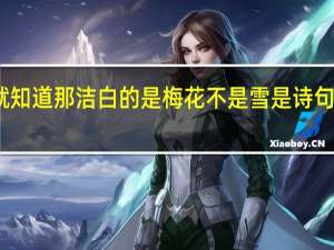 远看就知道那洁白的是梅花不是雪是诗句什么的意思
