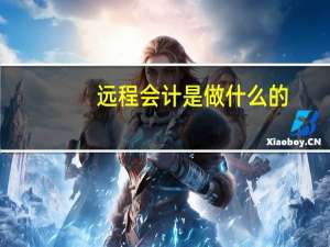 远程会计是做什么的